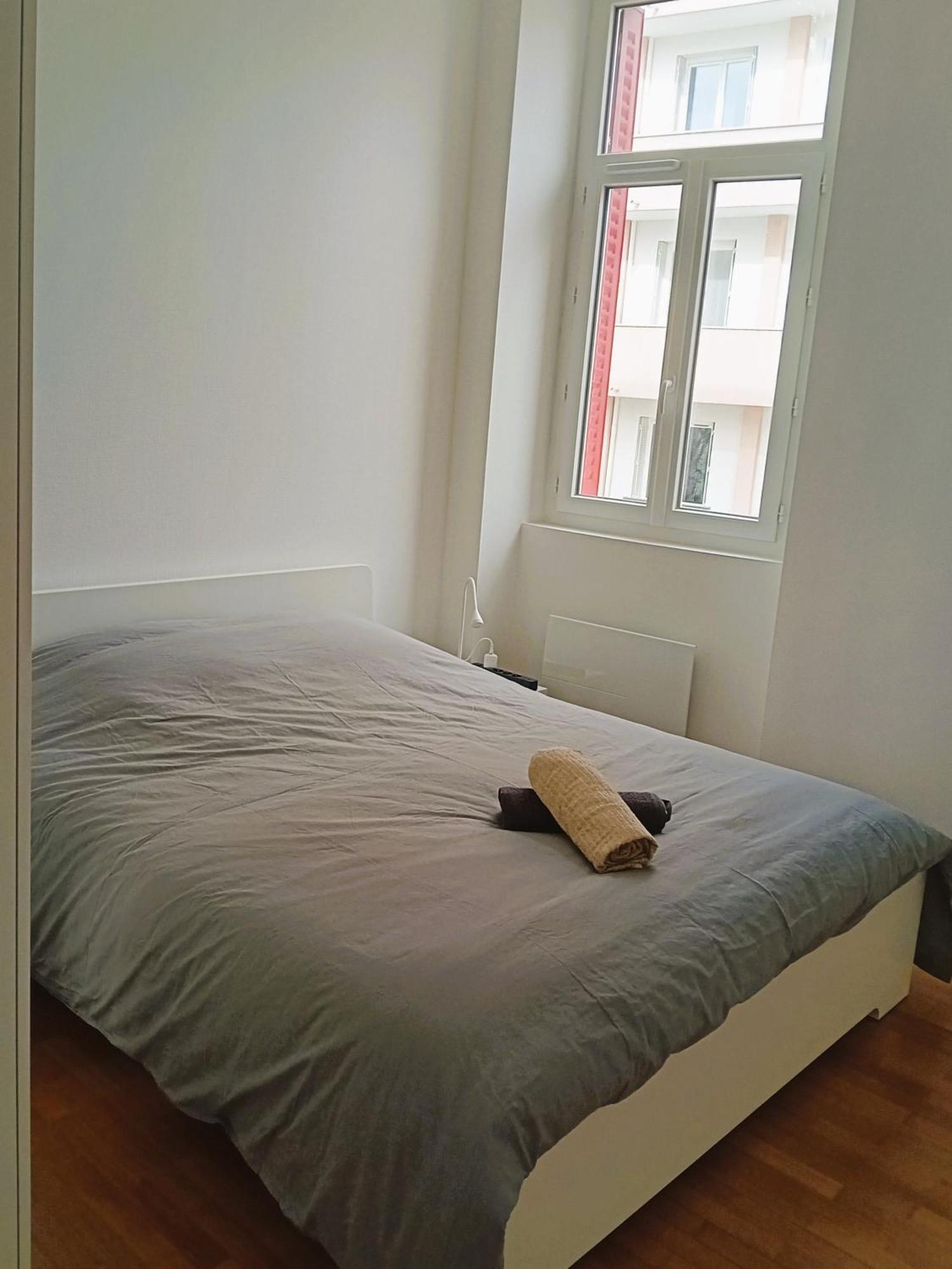 102 - Appart Renove Avec Grand Salon Et 1 Chambre - Tram Et Clinique Mutualiste A 1 Min Grenoble Eksteriør billede